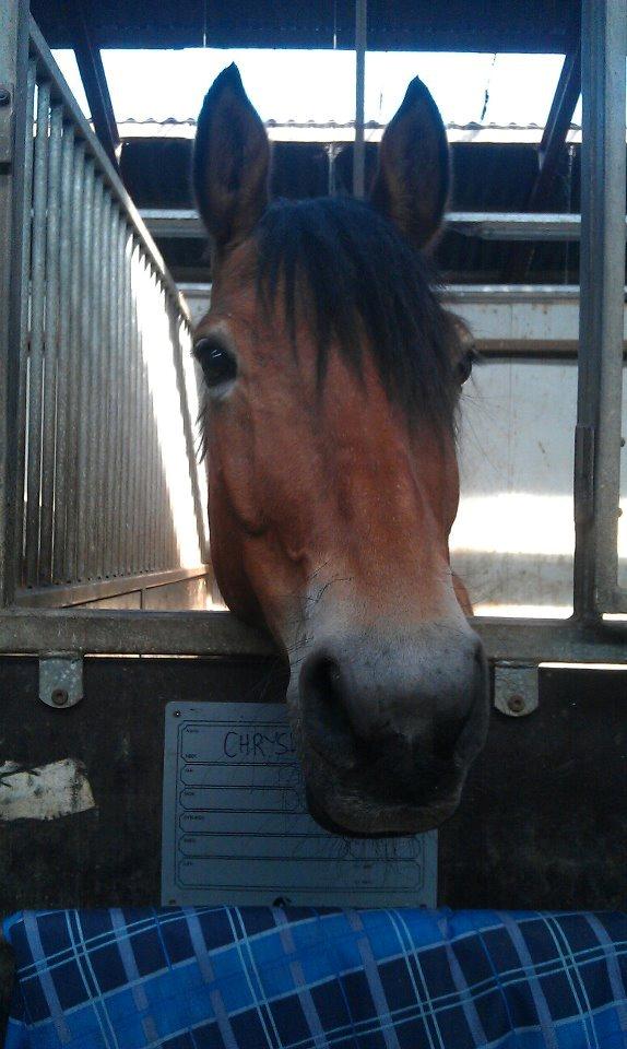 Anden særlig race Chrysler (Tidl. Part) billede 9
