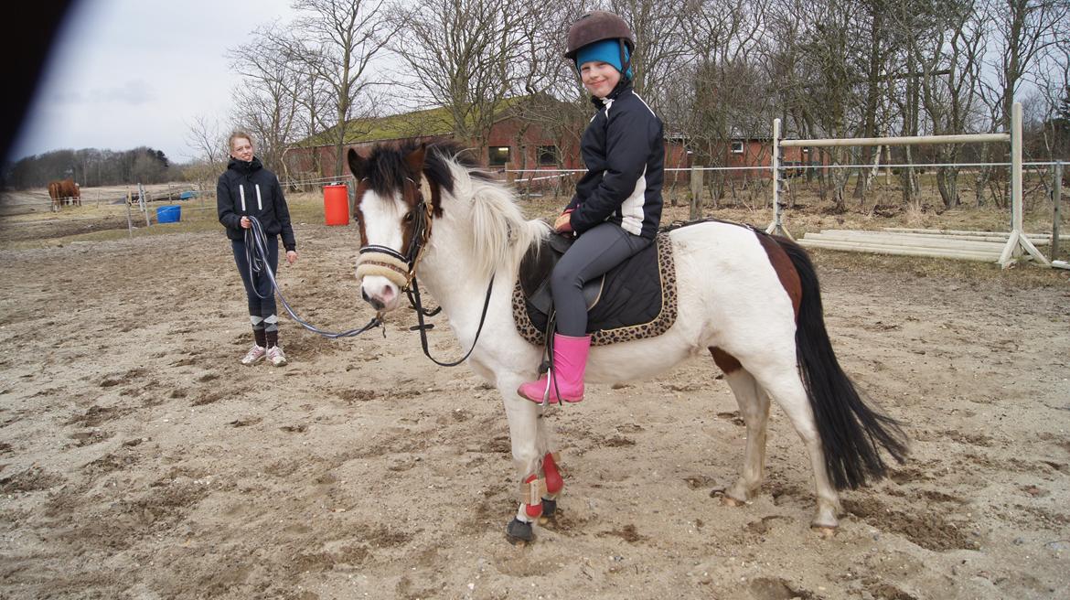 Anden særlig race Chanell billede 5