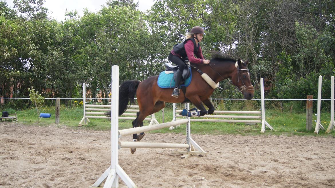 Traver Amadeo *R.I.P* billede 3