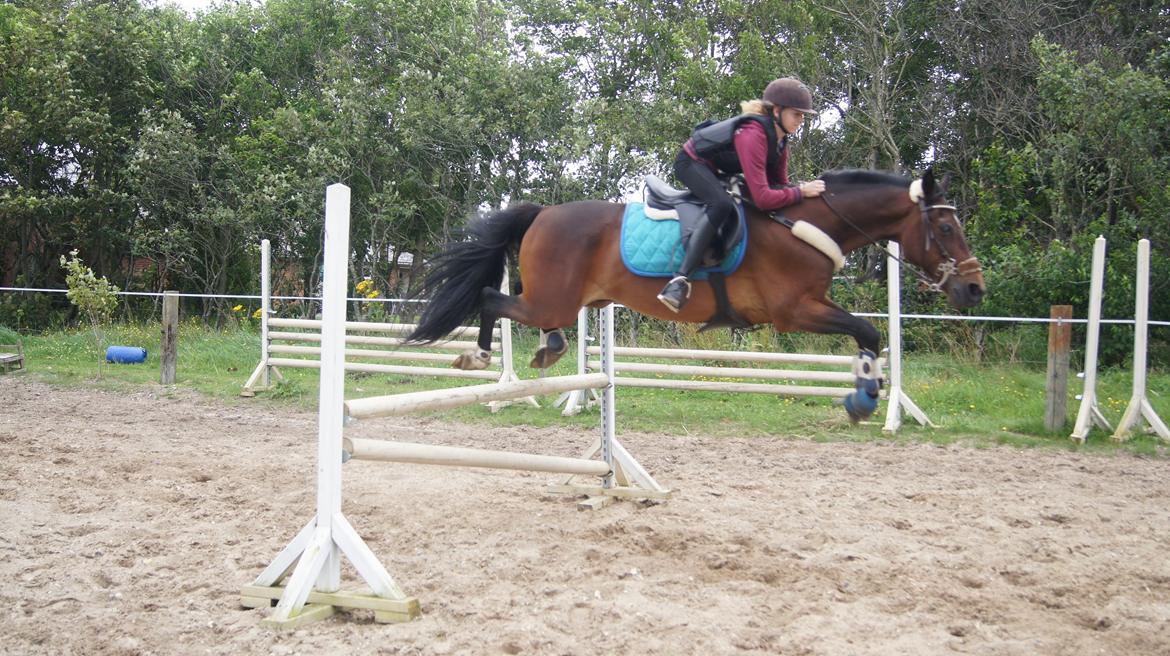 Traver Amadeo *R.I.P* billede 11