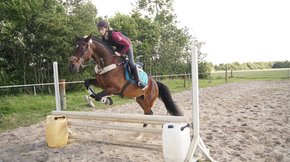 Traver Amadeo *R.I.P* billede 16