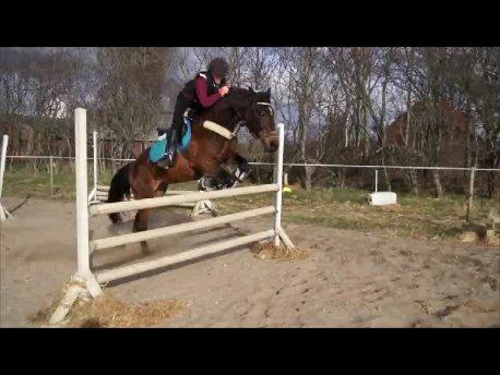 Traver Amadeo *R.I.P* billede 18