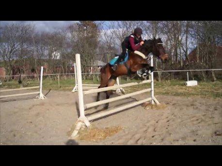 Traver Amadeo *R.I.P* - Jeg kunne virkelig give den gas! billede 14