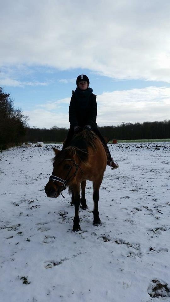 Anden særlig race Tøsen<3 billede 10