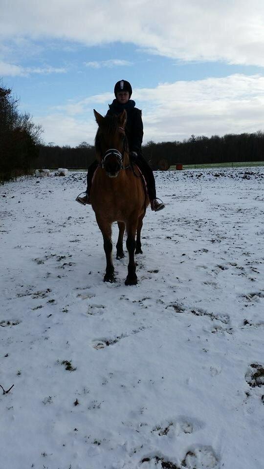 Anden særlig race Tøsen<3 billede 13