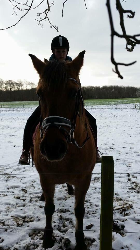 Anden særlig race Tøsen<3 billede 14