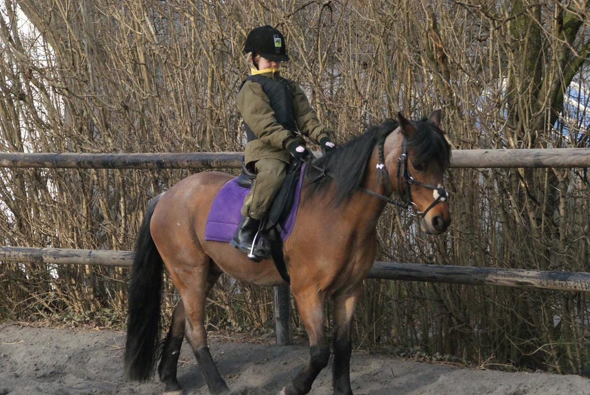 Anden særlig race Snuske billede 4