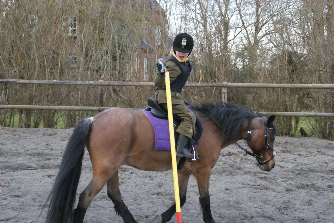 Anden særlig race Snuske - Til ponygames træning billede 5