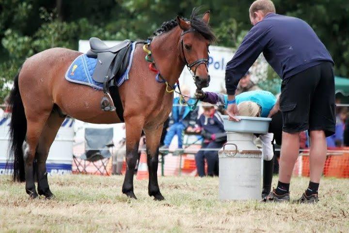 Anden særlig race Snuske - Annika og Snuske på Bregentved billede 6