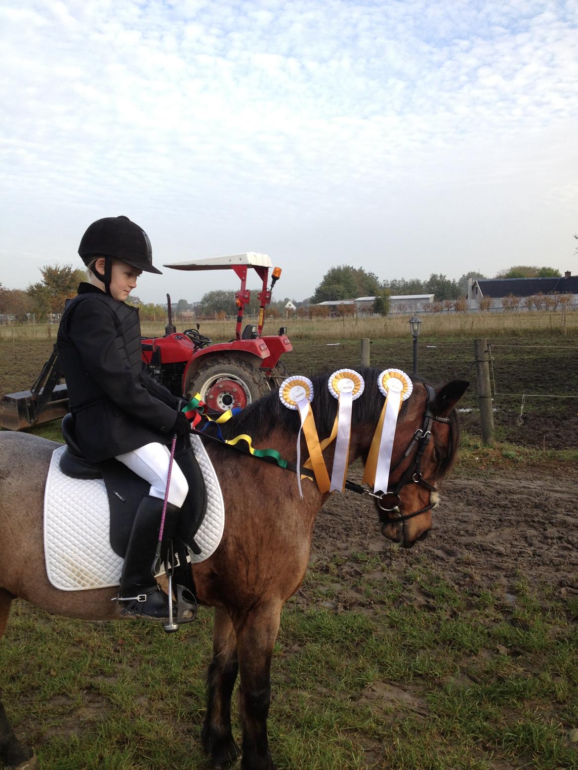 Anden særlig race Snuske billede 13