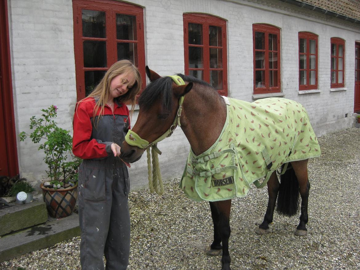 Anden særlig race Snuske billede 8