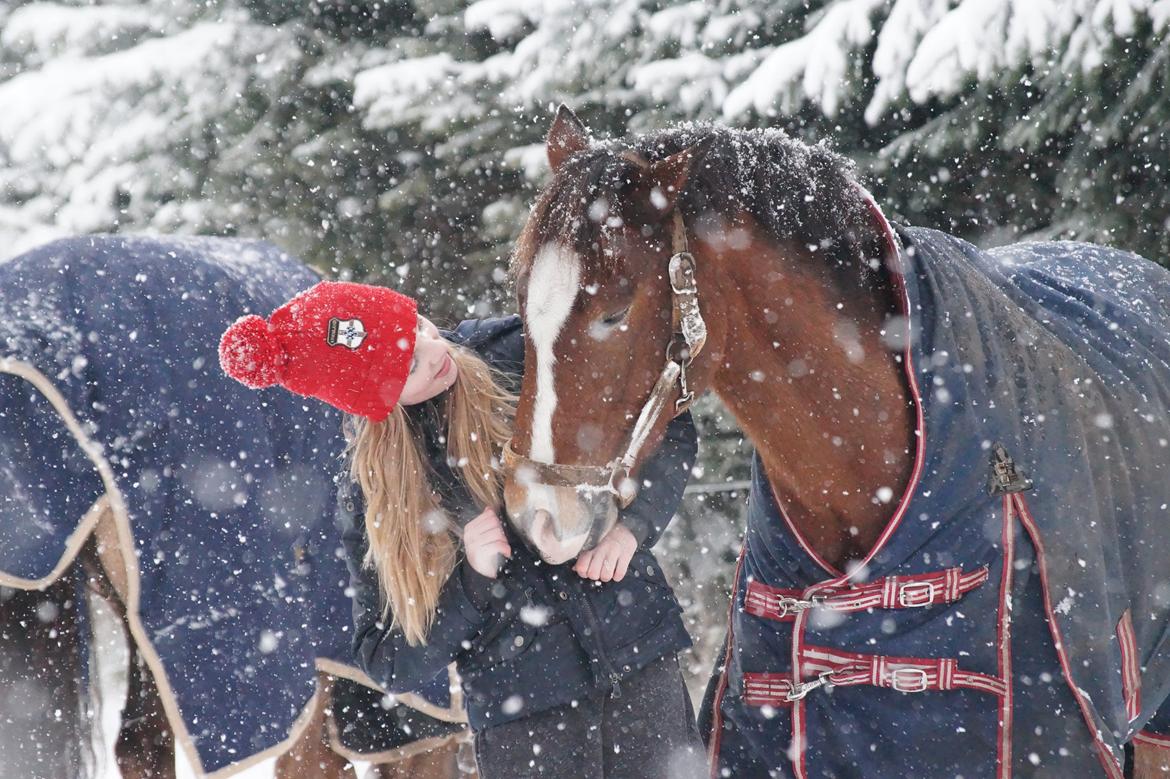 New Forest Remontes Free Fantasy - Januar 2015 billede 5