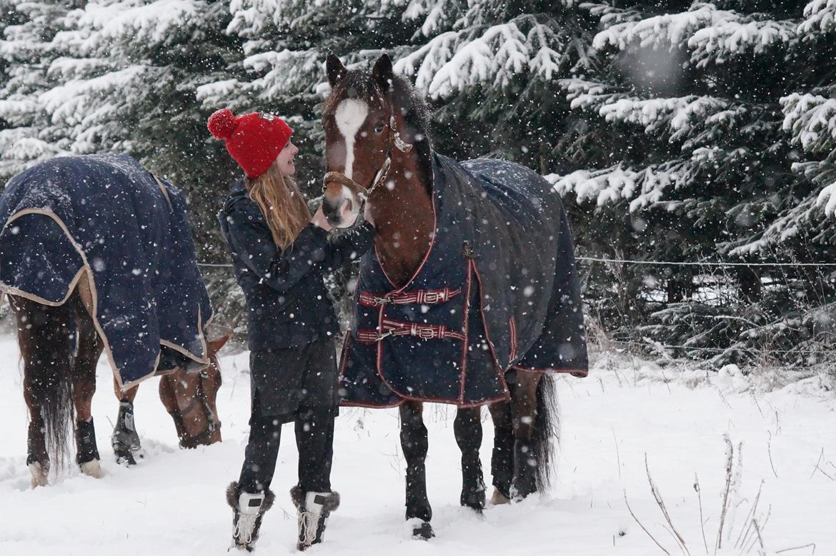 New Forest Remontes Free Fantasy - Januar 2015. billede 12