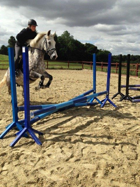 Holstener Willow billede 3