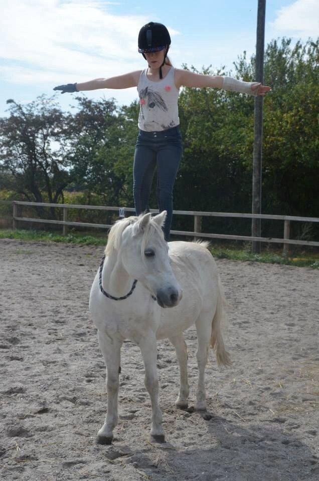 Anden særlig race Apollon "Polle" Best friends forever<3 billede 17