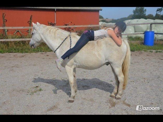 Anden særlig race Apollon "Polle" Best friends forever<3 billede 8