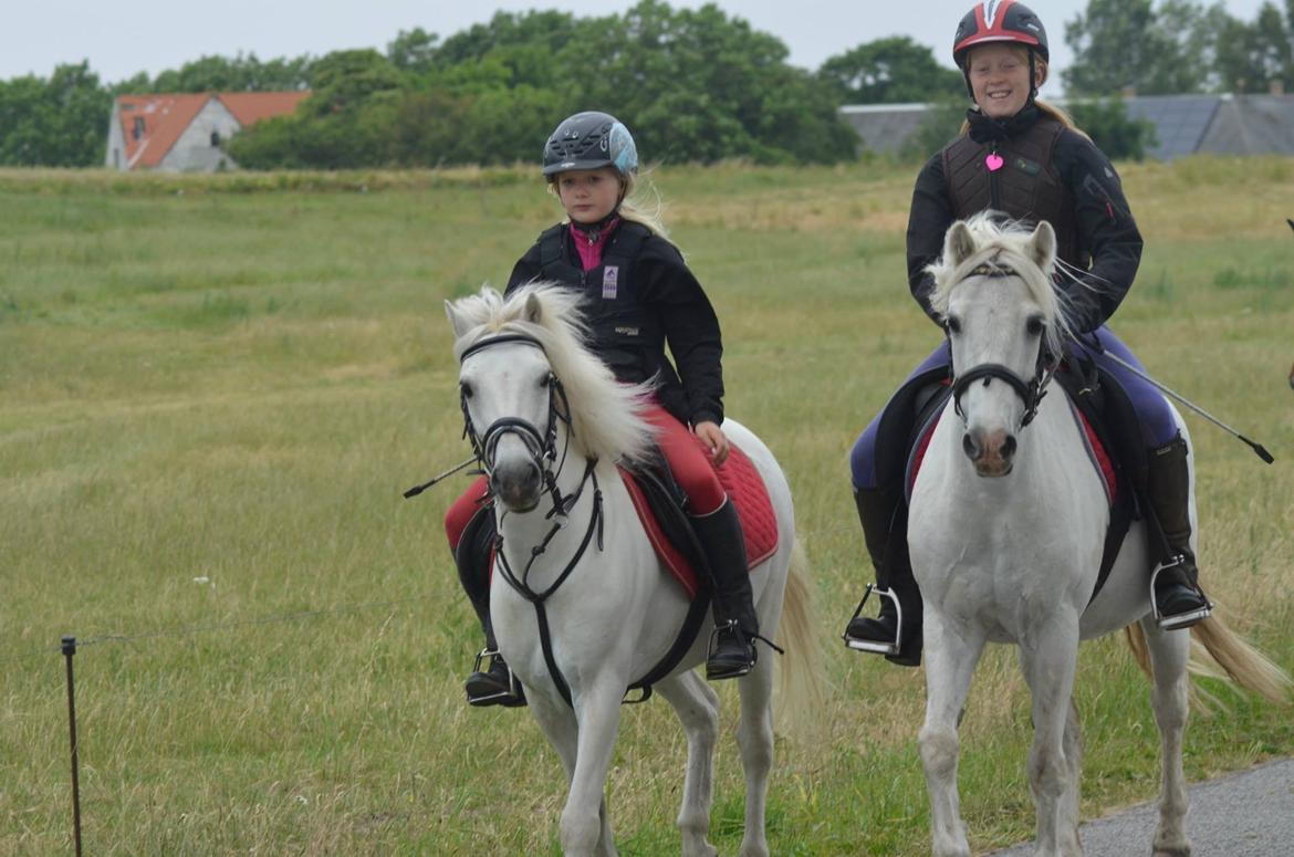 Anden særlig race Apollon "Polle" Best friends forever<3 billede 14