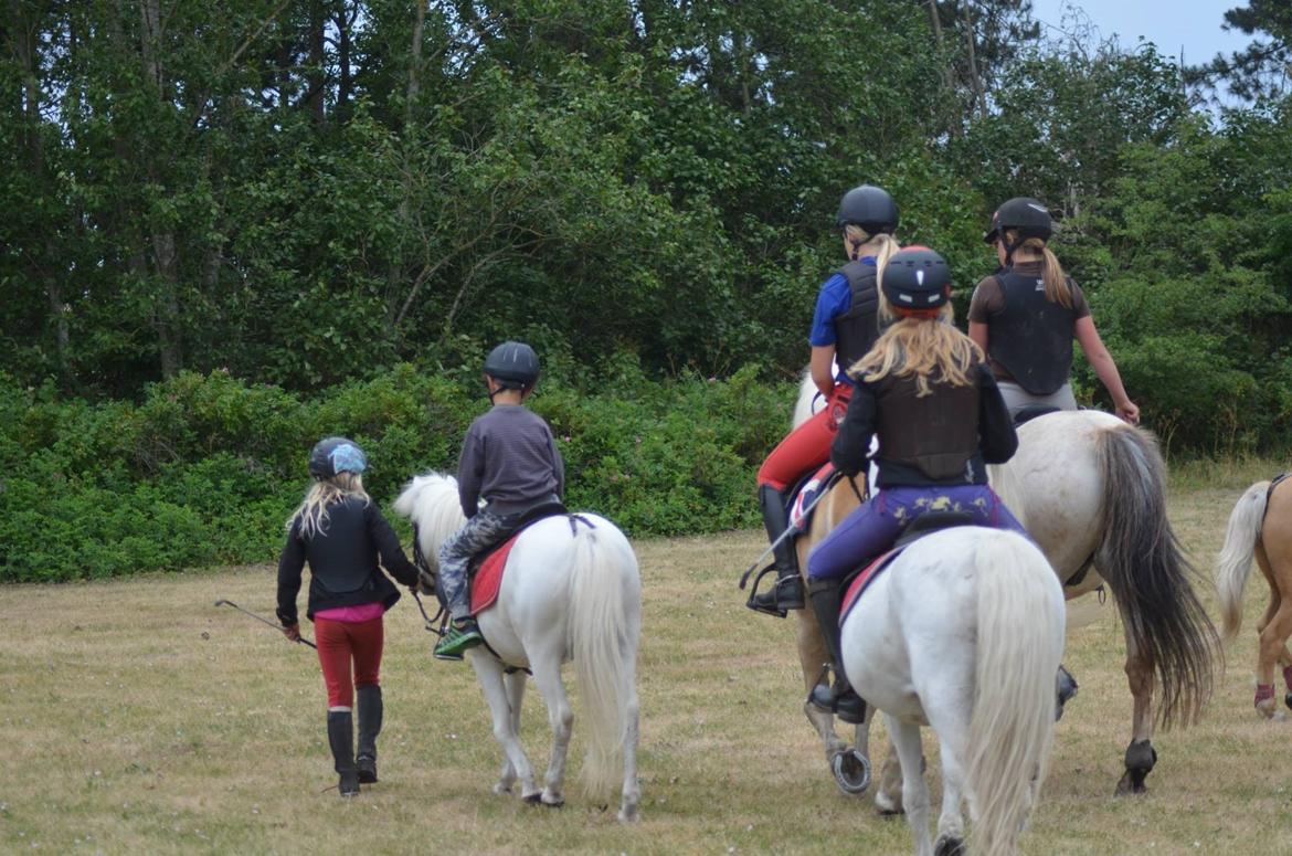 Anden særlig race Apollon "Polle" Best friends forever<3 billede 15