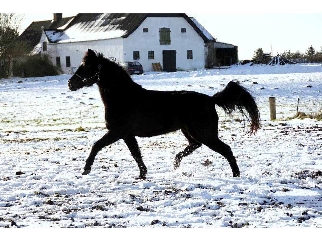 atkarchives.com sofja Abstract Book