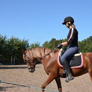 Sportsaraber (A) Skolekrogens Fanta