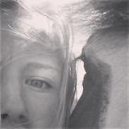 Anden særlig race harlekin