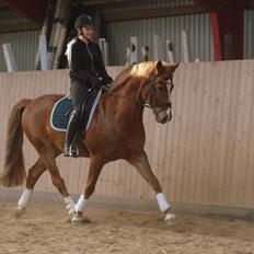 Frederiksborg Oliver