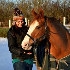 Frederiksborg Sylvester (Sylle)