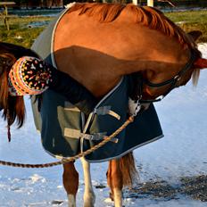 Frederiksborg Sylvester (Sylle)