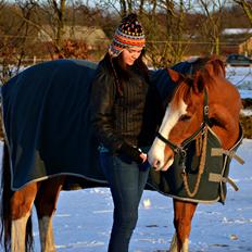 Frederiksborg Sylvester (Sylle)