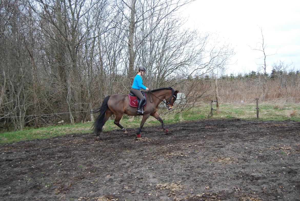 Oldenborg Korea billede 18