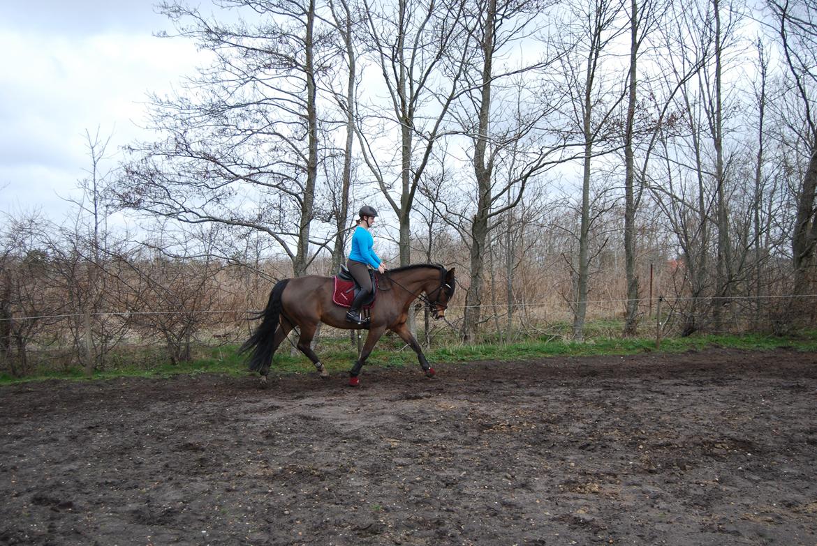 Oldenborg Korea billede 19