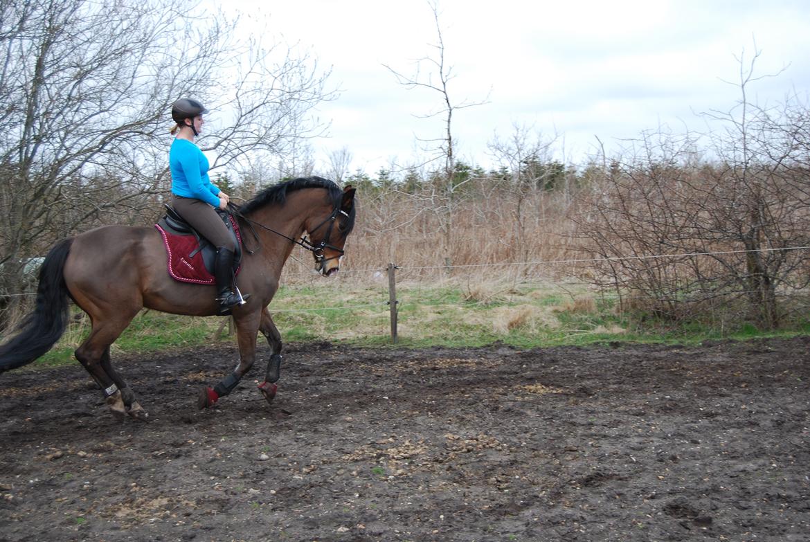 Oldenborg Korea billede 20