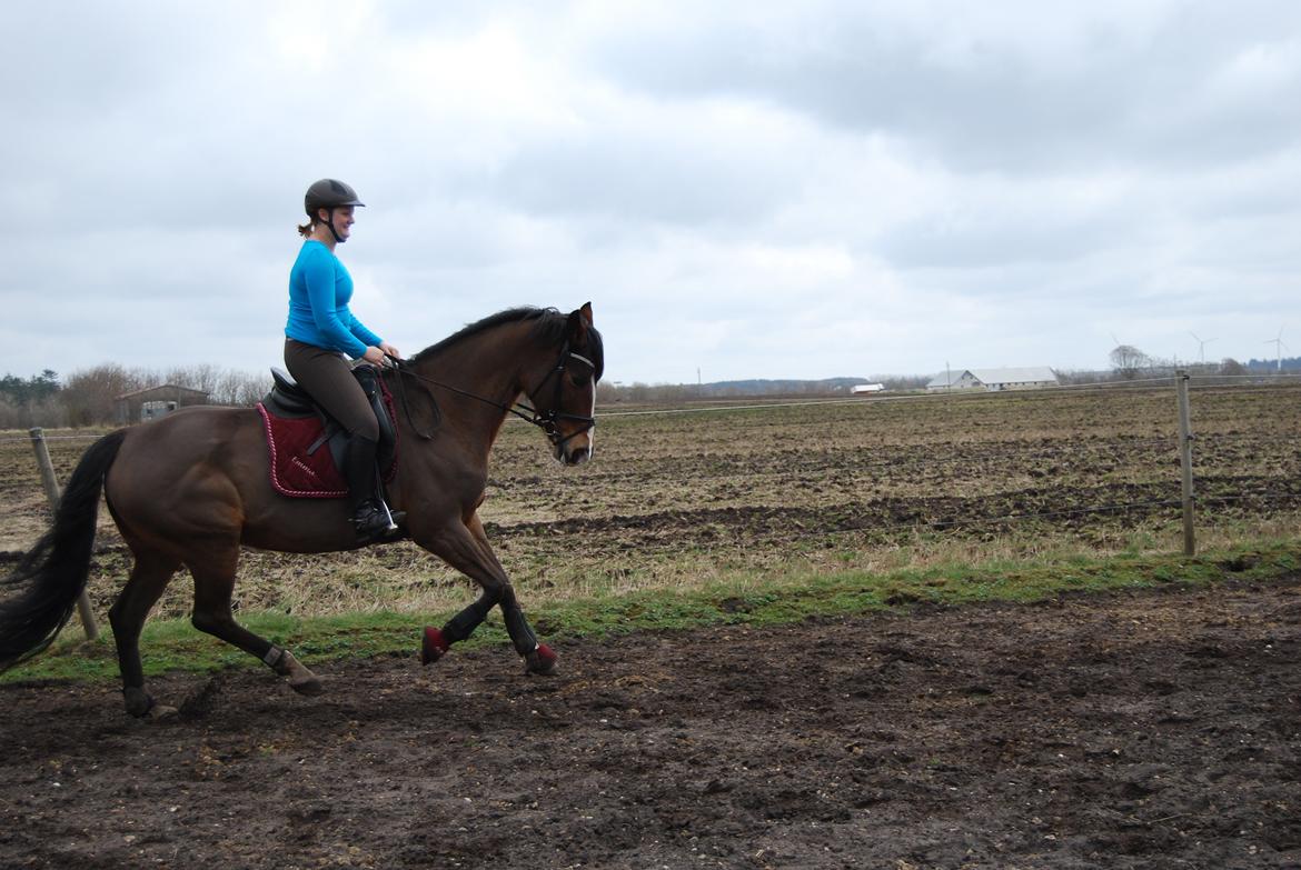 Oldenborg Korea billede 21