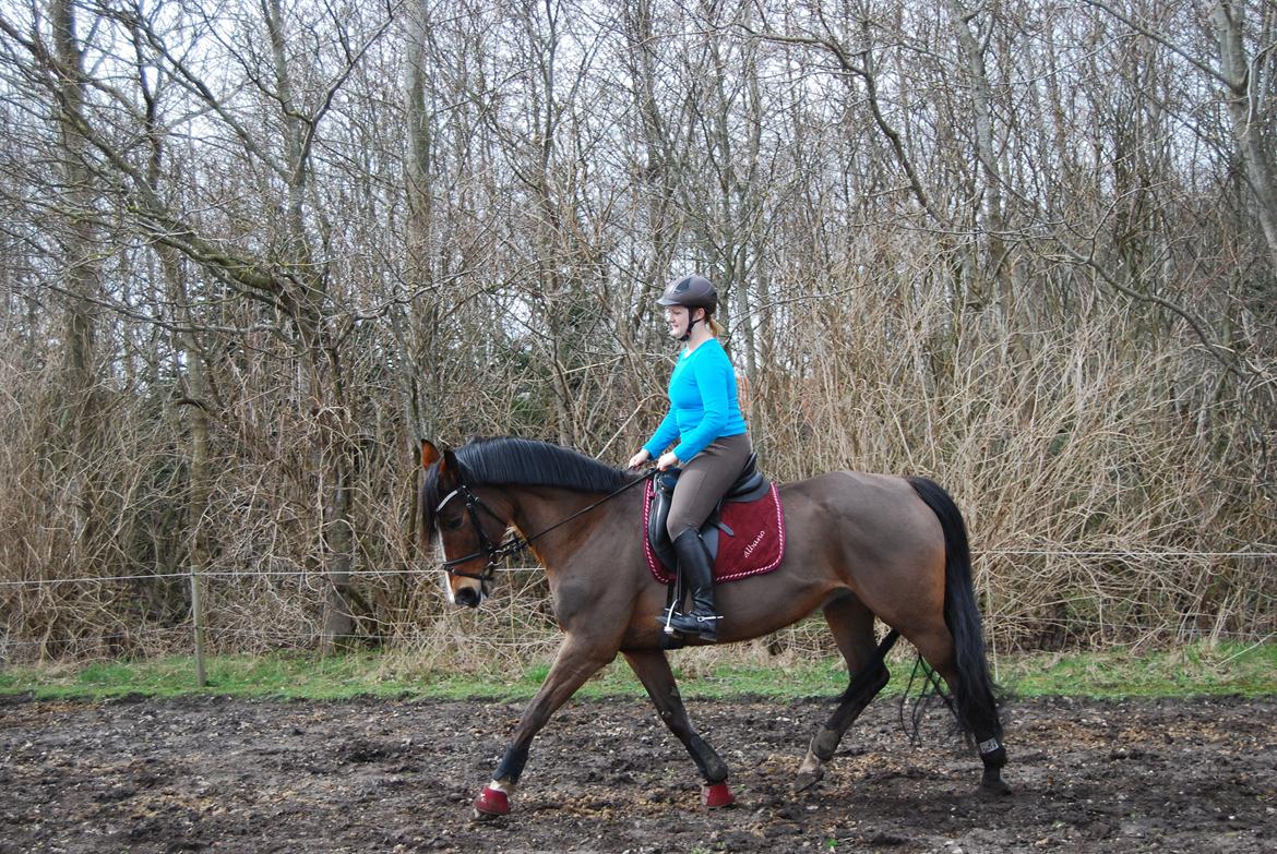 Oldenborg Korea billede 22