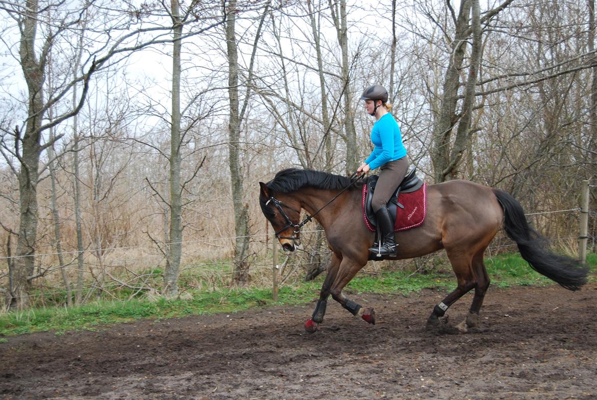 Oldenborg Korea billede 23