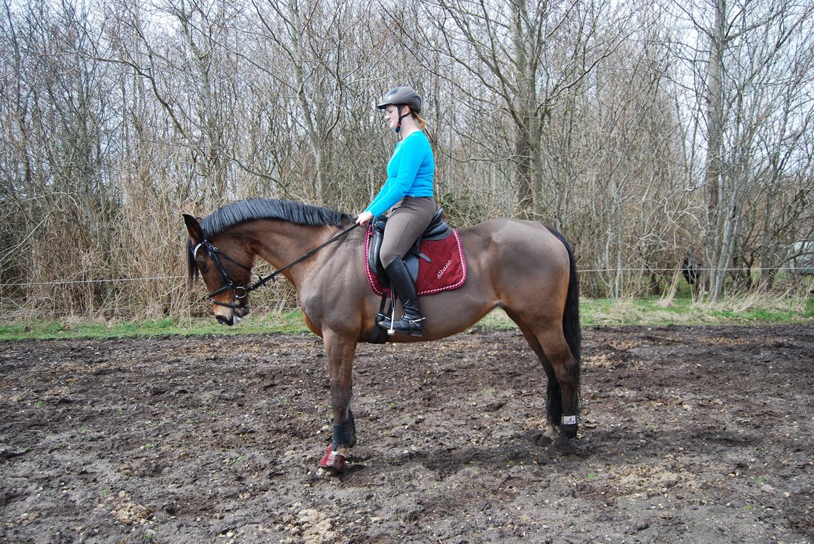 Oldenborg Korea billede 24