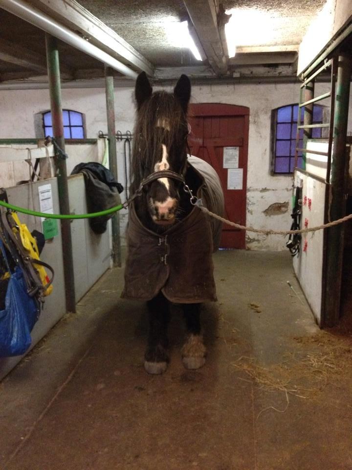 Tinker Major Mentz billede 9