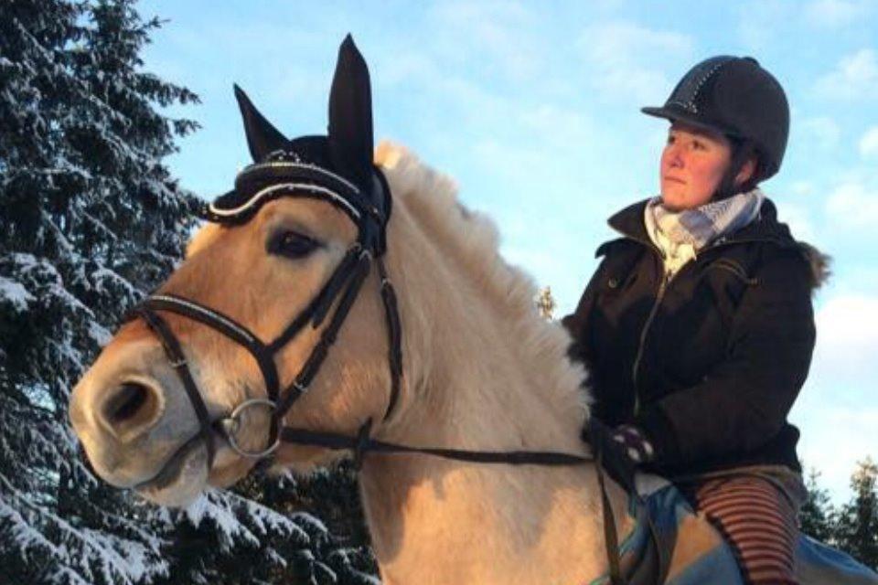 Fjordhest Milton (tidl. navn Claus) billede 32