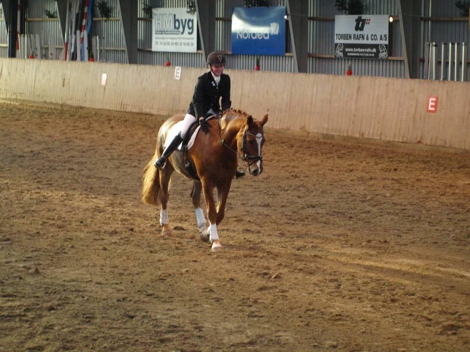 Frederiksborg Oliver billede 8