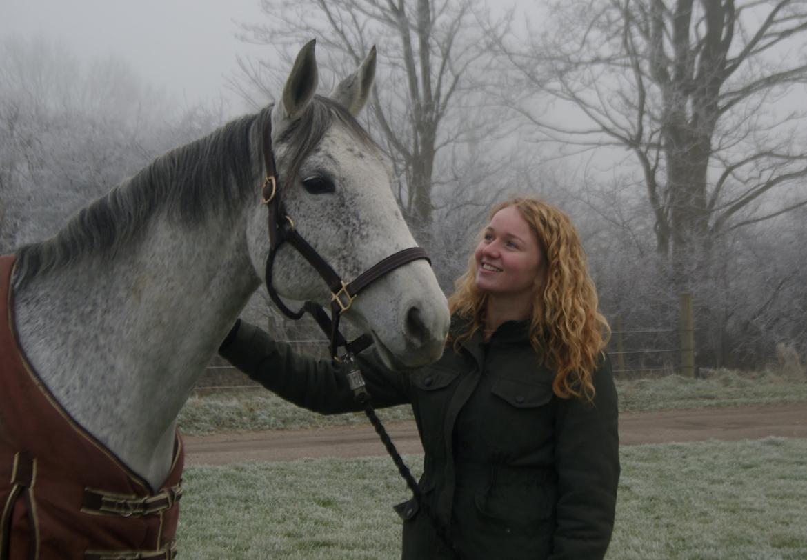 Anglo Araber (AA) Hedevangs Galilea - Januar 2015 - Godnat min skat billede 6