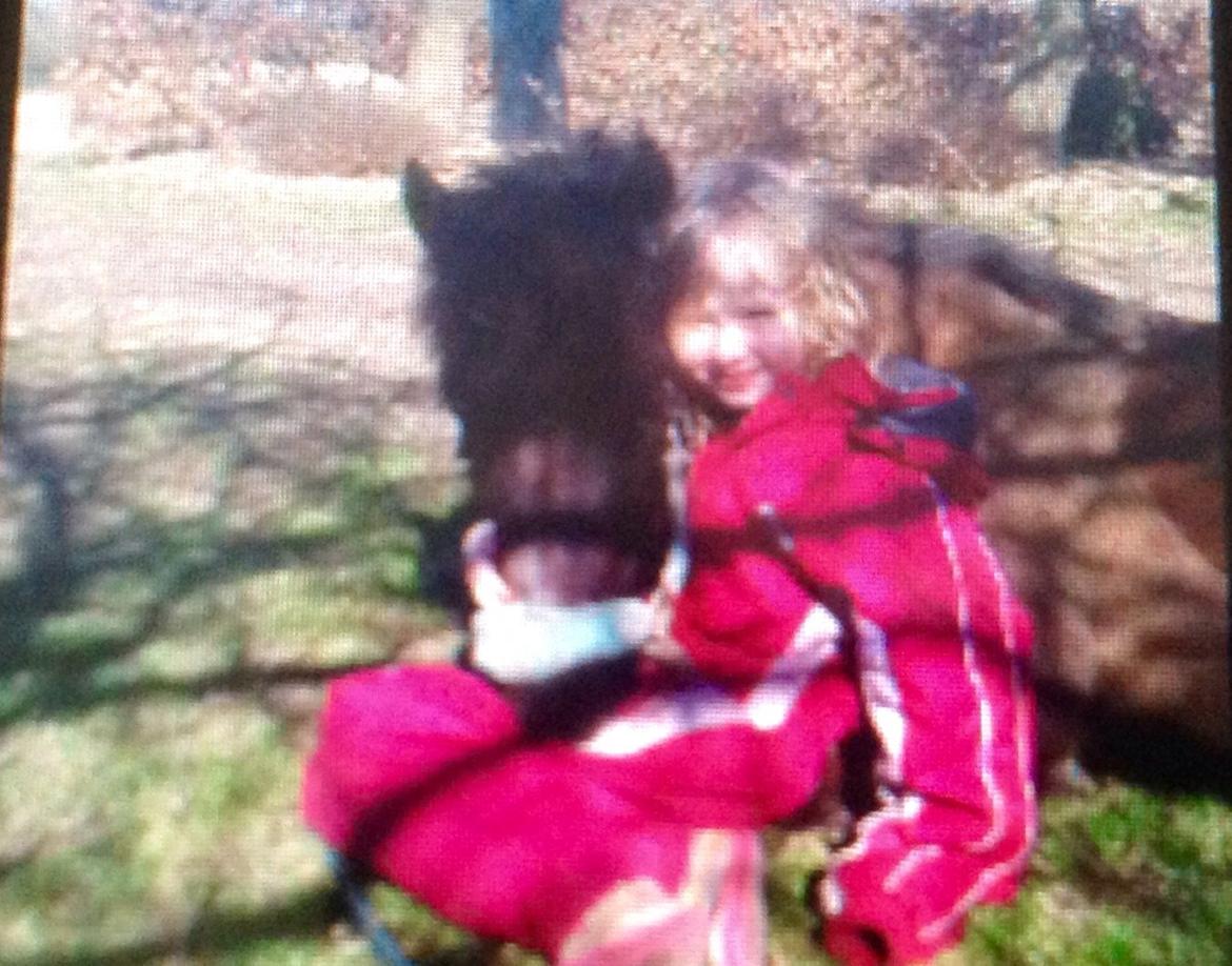Shetlænder mauda (den sødeste lille pony)  savnet men solgt  billede 6