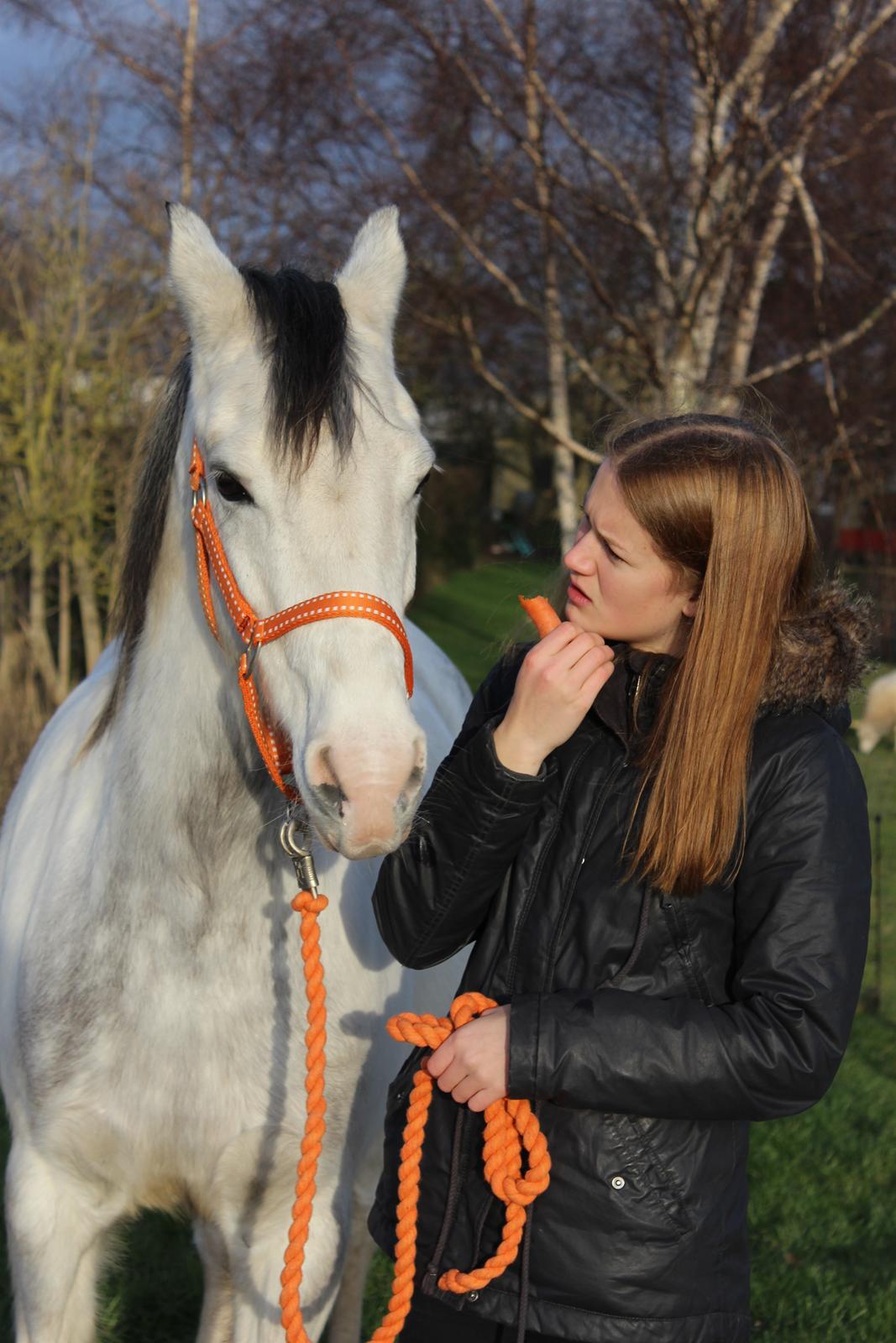 Anden særlig race • Lakota • billede 18