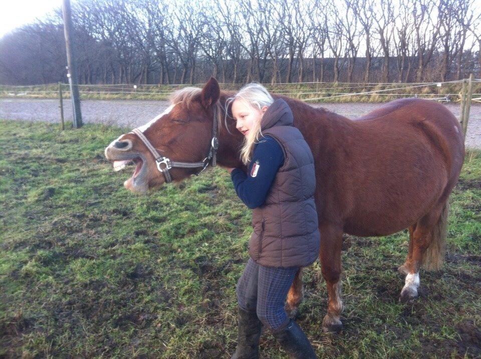 Anden særlig race Miss Dolly (Tamara)  billede 45