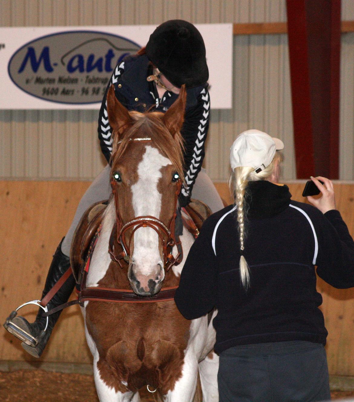 Anden særlig race Olivar - Solgt - D. 4/4-2011 billede 42