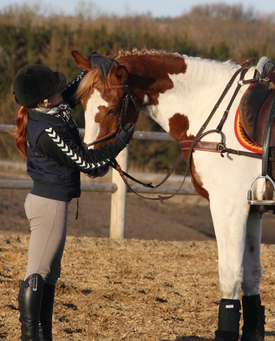 Anden særlig race Olivar - Solgt - D. 19/3-2011 billede 50