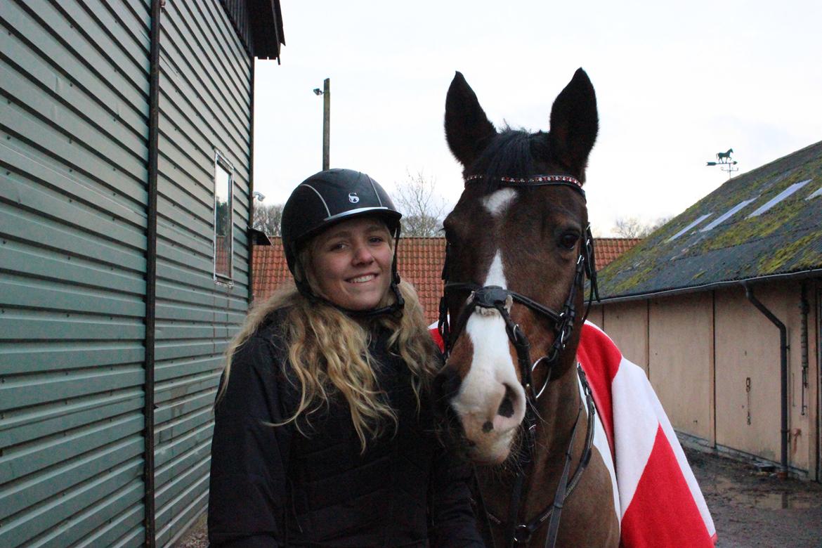 Pinto Lucky Boy billede 13