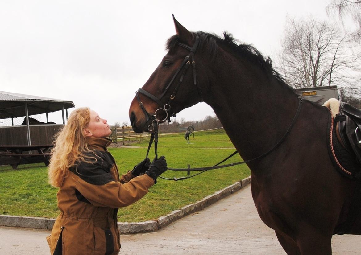 Oldenborg Classic carismo billede 10