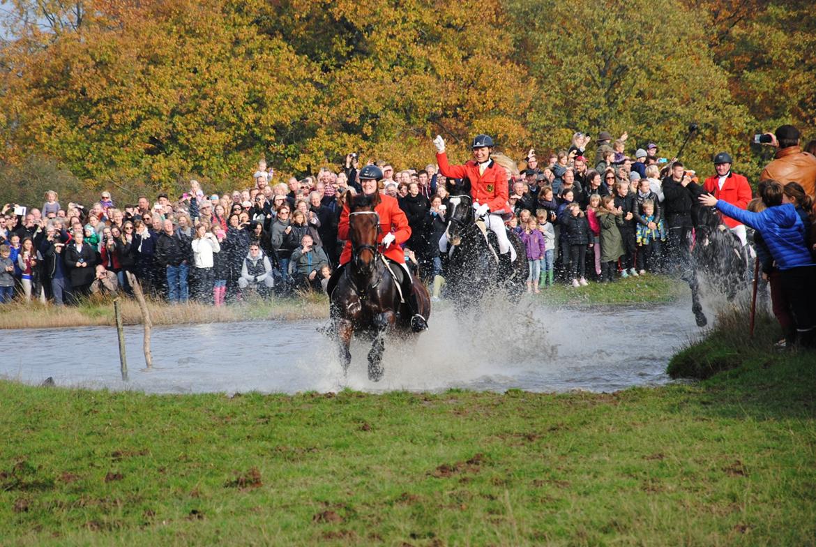 Oldenborg Classic carismo billede 18