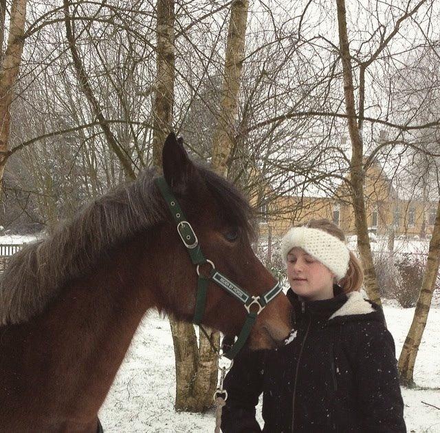 Anden særlig race Elmegaardens April billede 6