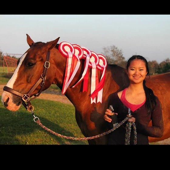 Tysk Sportspony Artos B-pony - Klubmestrer i både spring og Dressur, desuden vandt vi opvarmningsklassen. <3 billede 2